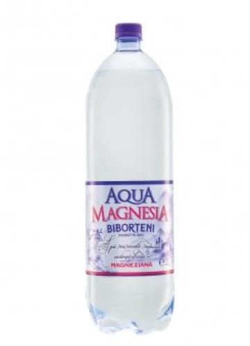 Apa Biborteni Aqua Magnezia Carbogazificata 2L SGR