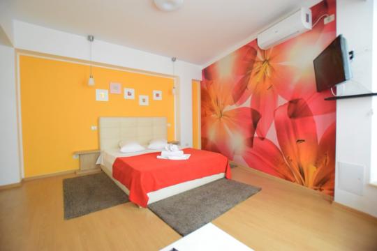 Apartament in regim hotelier Piata Alba Iulia