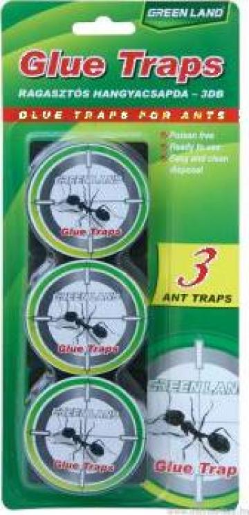 Capcana din plastic Glue traps for Ants