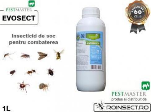 Insecticid anti-viespi / tantari Pestmaster Evosect 1 litru